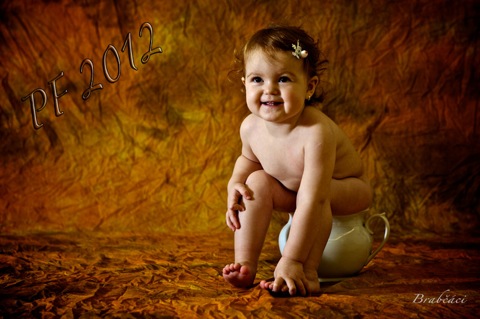PF2012web